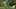 Game screenshot thumbnail 1