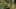 Game screenshot thumbnail 2