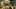 Game screenshot thumbnail 2