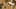 Game screenshot thumbnail 1