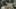 Game screenshot thumbnail 4