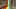 Game screenshot thumbnail 2