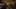 Game screenshot thumbnail 1