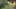 Game screenshot thumbnail 5