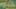 Game screenshot thumbnail 2