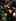 Game screenshot thumbnail 1