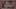 Game screenshot thumbnail 2