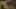 Game screenshot thumbnail 1