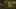 Game screenshot thumbnail 2