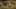 Game screenshot thumbnail 4