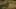 Game screenshot thumbnail 5