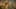 Game screenshot thumbnail 4