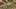 Game screenshot thumbnail 5