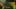 Game screenshot thumbnail 1