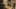 Game screenshot thumbnail 4
