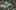 Game screenshot thumbnail 3