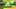 Game screenshot thumbnail 1