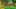 Game screenshot thumbnail 2