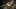 Game screenshot thumbnail 4
