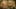 Game screenshot thumbnail 2