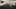 Game screenshot thumbnail 1