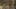 Game screenshot thumbnail 5