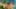 Game screenshot thumbnail 4