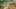 Game screenshot thumbnail 5