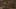 Game screenshot thumbnail 1