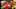 Game screenshot thumbnail 2