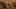 Game screenshot thumbnail 5