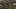 Game screenshot thumbnail 2