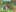 Game screenshot thumbnail 4