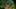 Game screenshot thumbnail 2