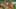 Game screenshot thumbnail 3