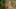 Game screenshot thumbnail 5
