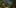 Game screenshot thumbnail 5