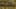 Game screenshot thumbnail 1