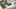 Game screenshot thumbnail 3