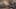 Game screenshot thumbnail 5