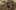 Game screenshot thumbnail 1