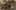Game screenshot thumbnail 2