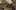 Game screenshot thumbnail 3