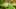 Game screenshot thumbnail 2