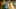 Game screenshot thumbnail 4