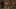Game screenshot thumbnail 5