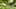 Game screenshot thumbnail 1