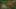 Game screenshot thumbnail 2