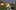Game screenshot thumbnail 2