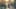 Game screenshot thumbnail 1
